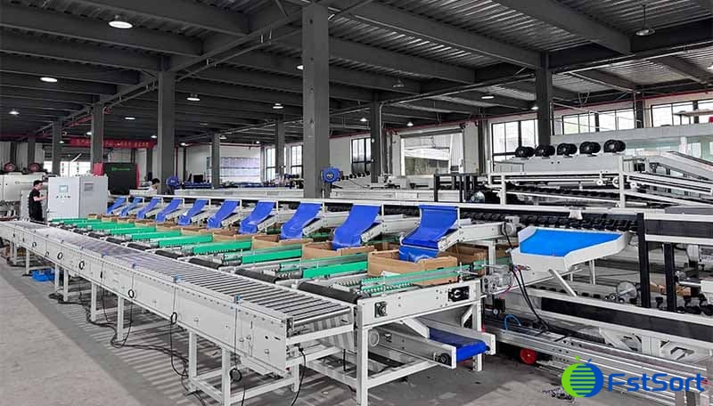 tomato packing machine.jpg tomato packing machine.jpg